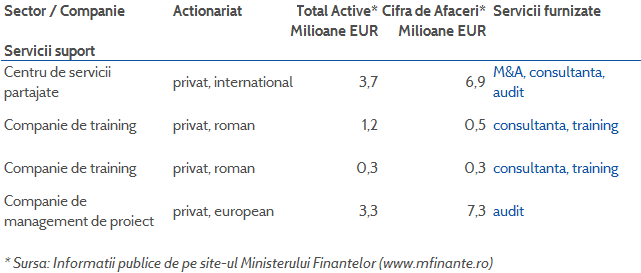 Proiecte KM Partners in servicii suport